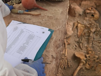 Trabajos de exhumación, en 2021, de la fosa común anexa al cementerio de Almagro, en Ciudad Real, donde fueron fusiladas 28 personas.